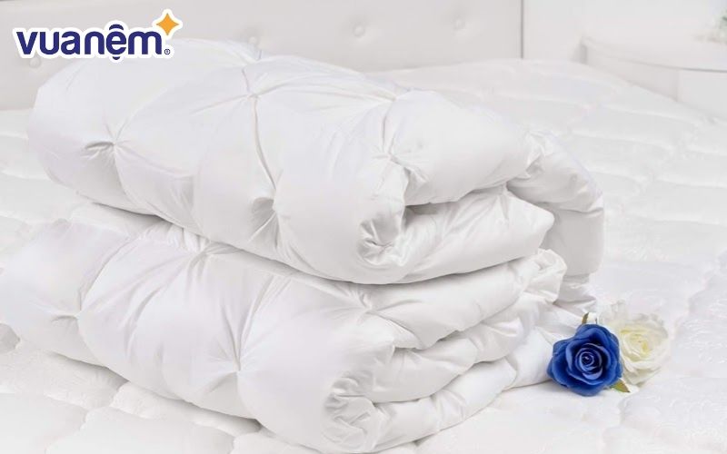 Ruột chăn lông vũ được làm từ phần lông nhung và lông mình mềm mịn của các loại gia cầm