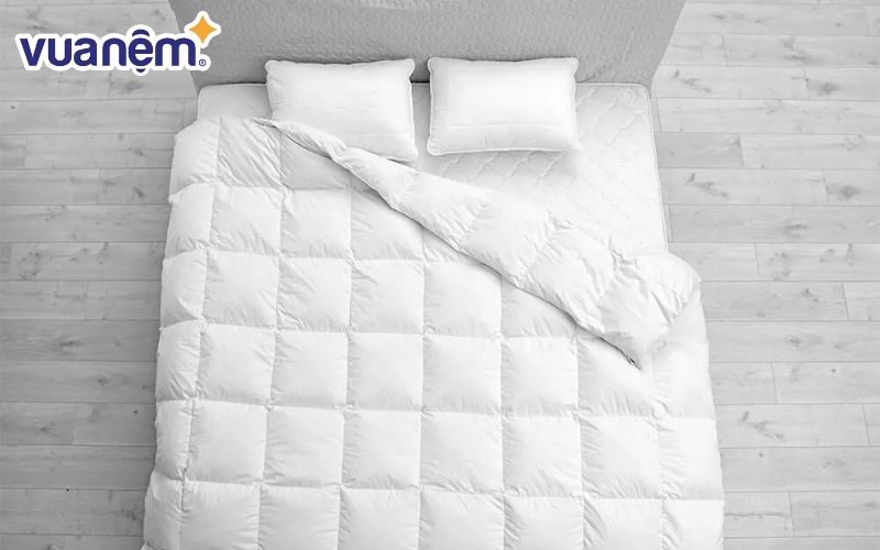 Ruột chăn lông vũ Doona Luxury 70%