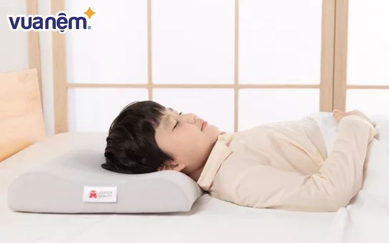 Bộ gối Aeroflow Hachiko Junior 100% từ PU Foam