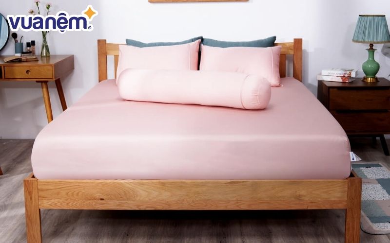 Bộ ga chun Cotton satin AMD The Essentials