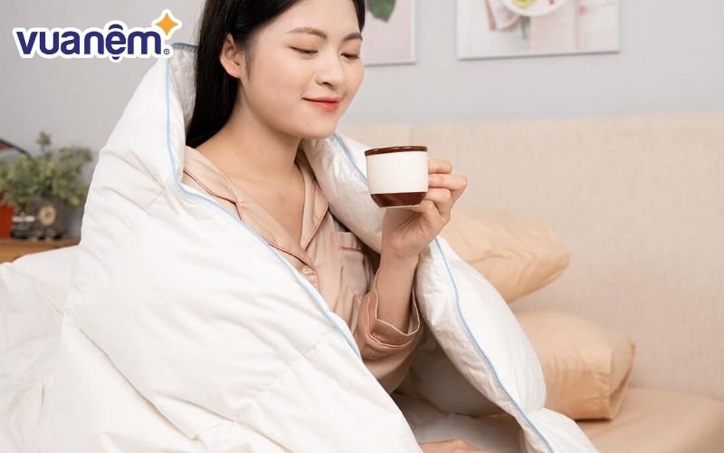 Ruột chăn lông vũ Doona Dream Cloud 90% 2.5kg
