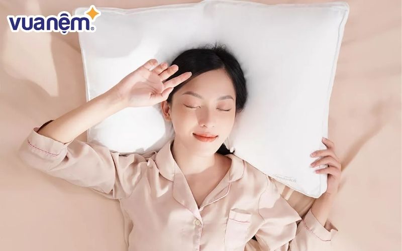 Gối Doona Sandwich lông vũ kháng khuẩn