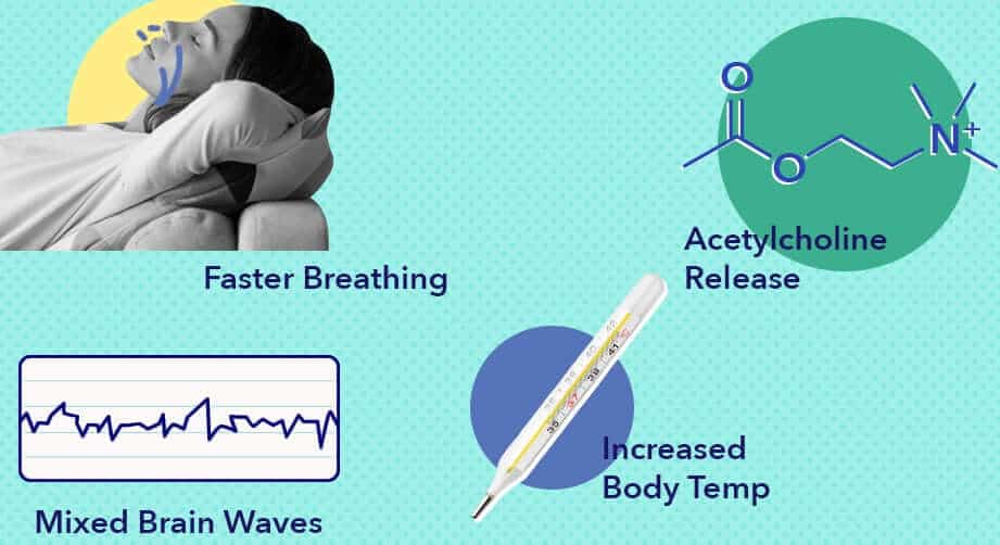 Chất dẫn truyền thần kinh Acetylcholine