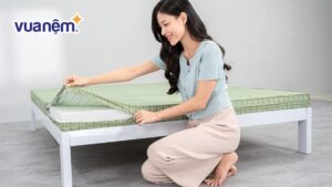 Bảng giá nệm bông ép 5cm mới nhất, kèm ưu đãi