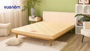 Top 5 mẫu nệm bông ép 1m6x2m tốt nhất kèm bảng giá