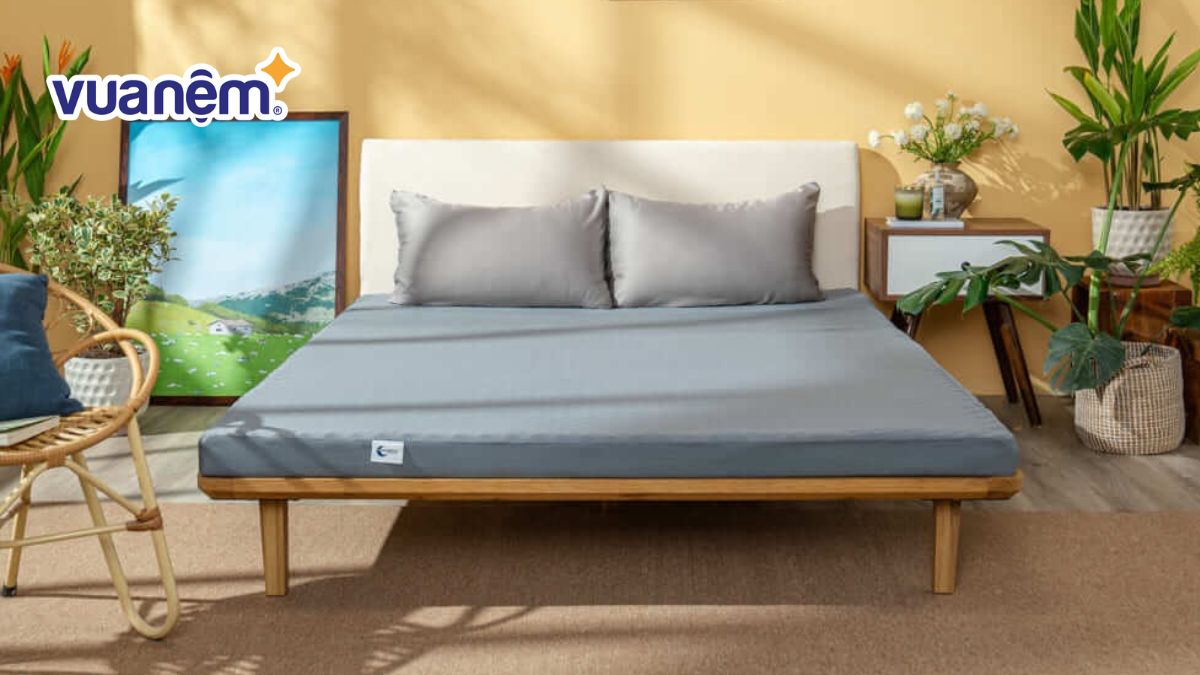 Nên mua nệm loại nào? Top 7 loại nệm tốt cho gia đình
