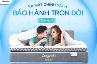 Chính Sách Bảo Hành