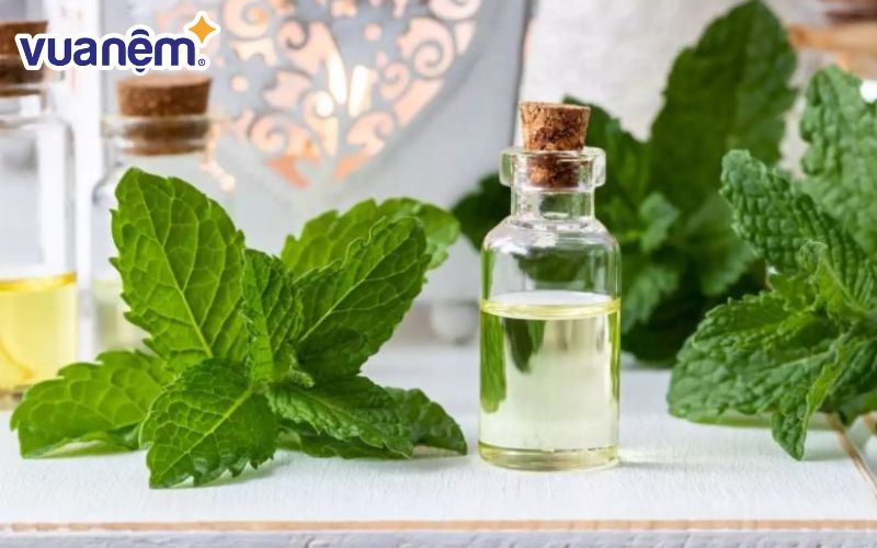 Bên cạnh sử dụng lá bạc hà, bạn có thể sử dụng tinh dầu bạc hà thay thế