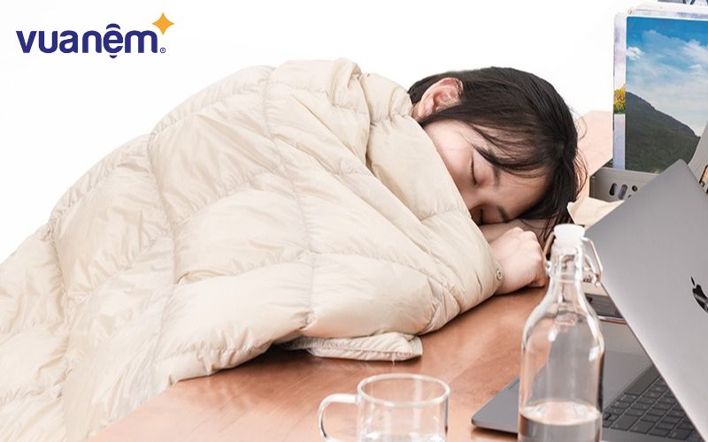 Chăn ngủ văn phòng đã trở thành vật dụng quen thuộc không khác gì chiếc cốc uống nước
