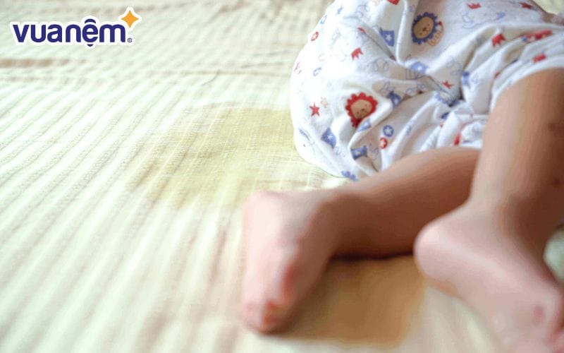 Khi bị nệm bị trẻ em hoặc thú nuôi tè lên