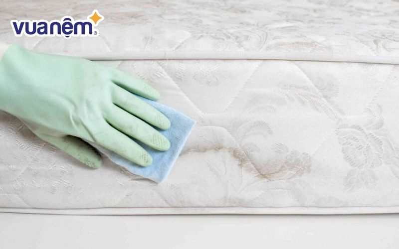 Cách xử lý nệm cao su thiên nhiên bị đen
