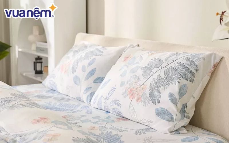 Bộ Ga chun sợi gỗ thiên nhiên Amando Aleena