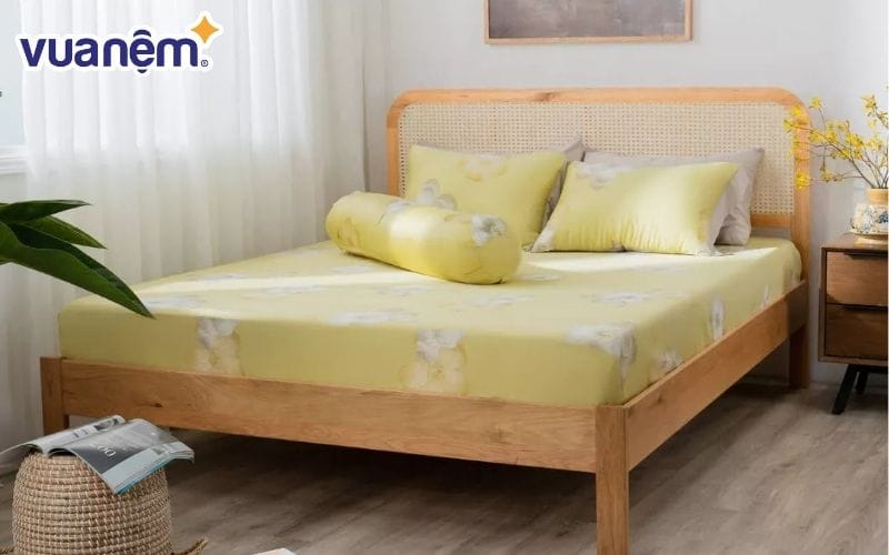 Bộ ga chun Lụa tencel cao cấp Amando Bliss