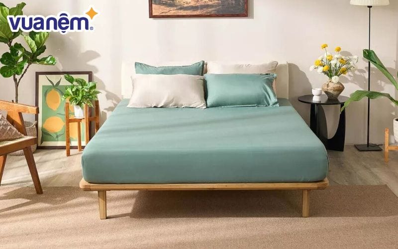 Bộ ga chun micro satin Amando Cozy