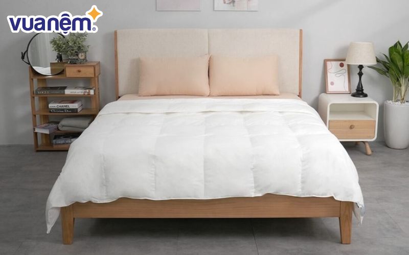 Ruột chăn lông vũ nhân tạo êm ái bán chạy hiện nay