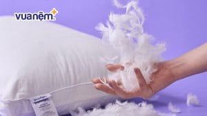 Chăn ga gối nệm lông vũ: Ưu điểm và Top 5 sản phẩm đáng mua