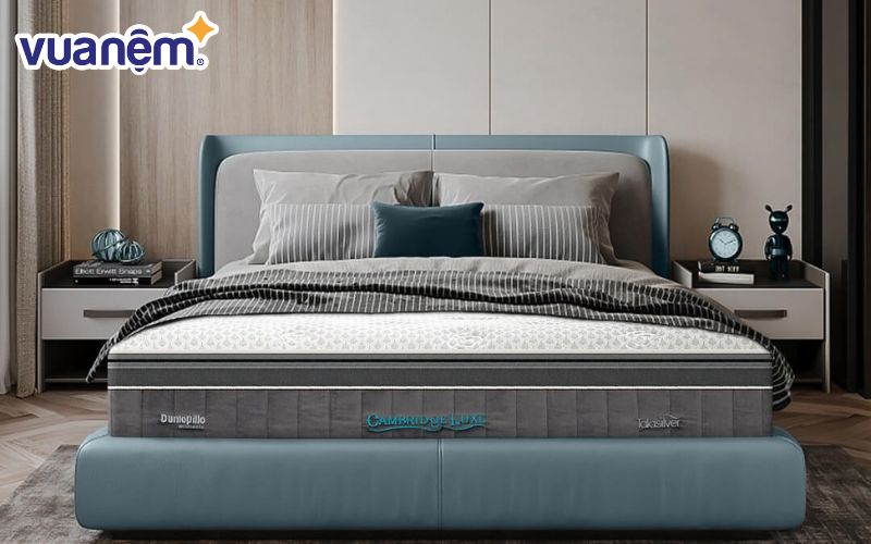 Dunlopillo là thương hiệu nệm và chăn ga gối nổi tiếng đến từ Anh Quốc