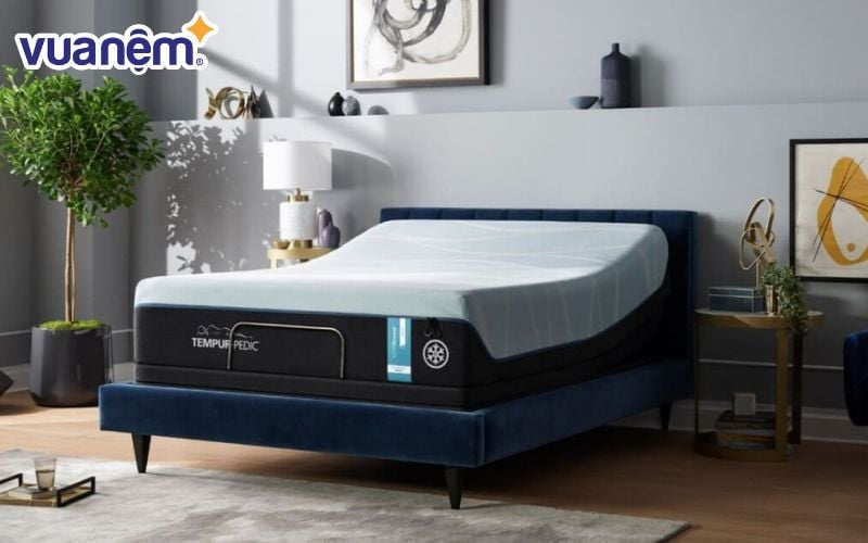 Tempur là thương hiệu sản xuất nệm và gối của nhà sản xuất Tempur-Pedic