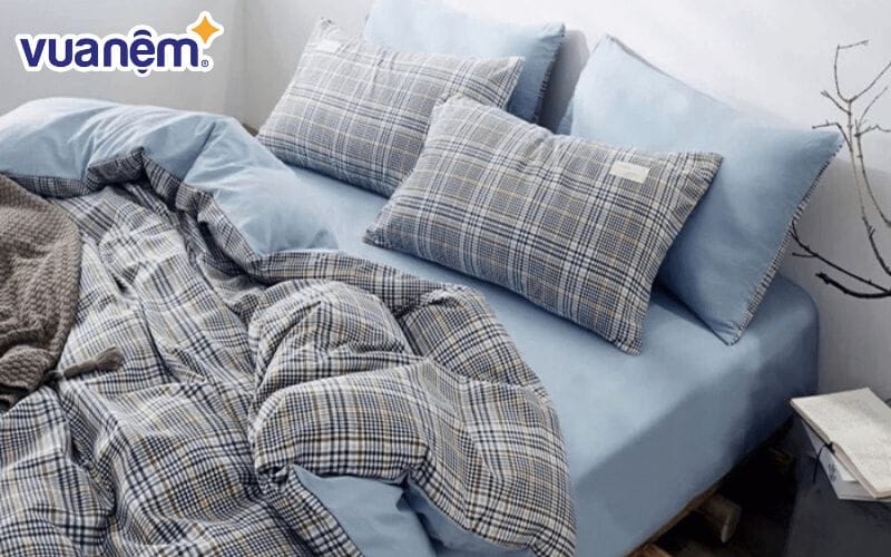 Mẫu chăn cotton đũi 1