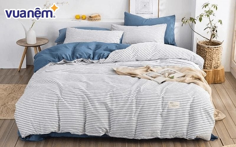 Mẫu chăn cotton đũi 3