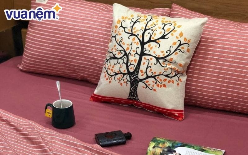 Mẫu chăn cotton đũi 4