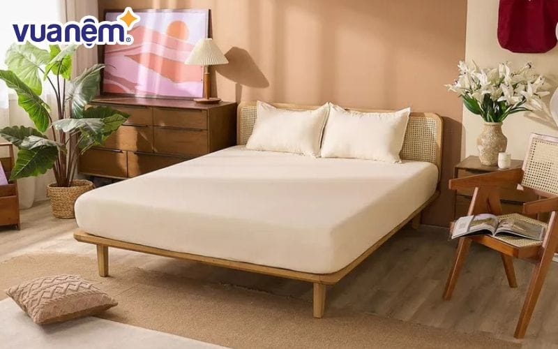 Mẫu chăn 100% cotton 2