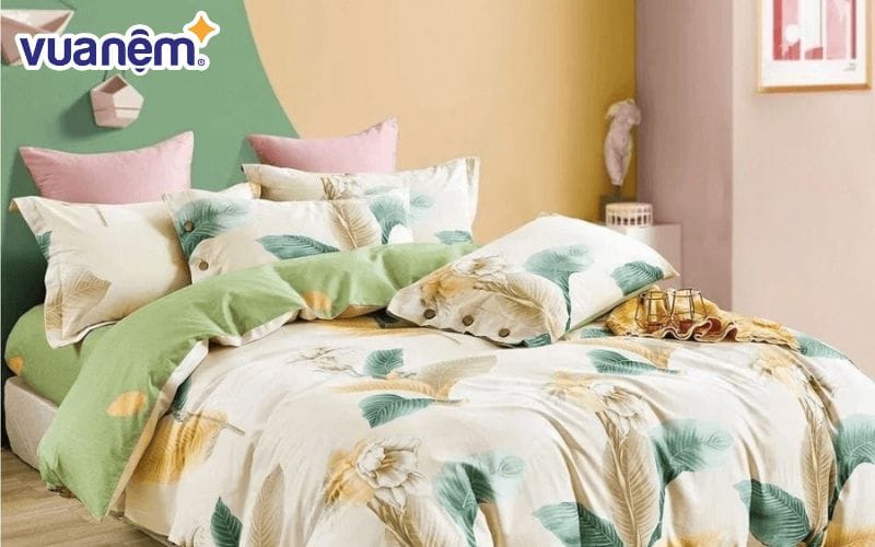 Bộ ga chun Amando Dormi Cotton 4CT