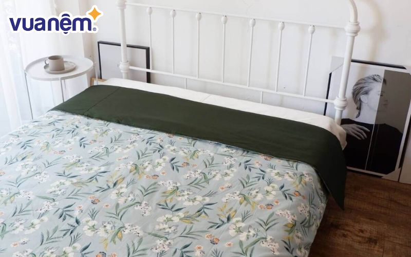 Vỏ chăn AMD Dream cotton lụa