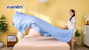 Mua chăn ga gối chất liệu gì? 7 chất liệu chăn ga gối nên chọn
