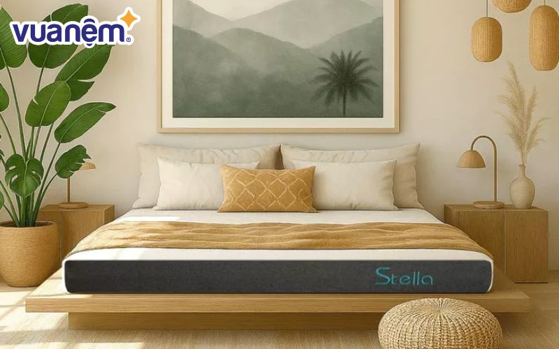 Nệm cao su đa tầng Kim Cương Stella