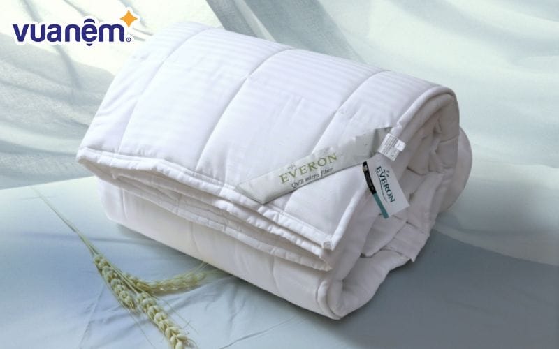 Nên mua ruột chăn từ các thương hiệu uy tín trên thị trường