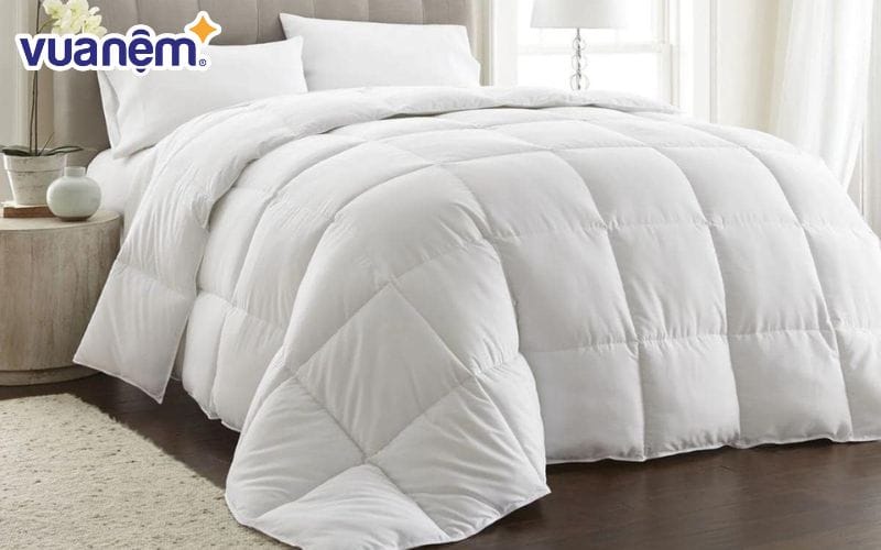 Các tiêu chí để chọn ruột chăn hè chất lượng