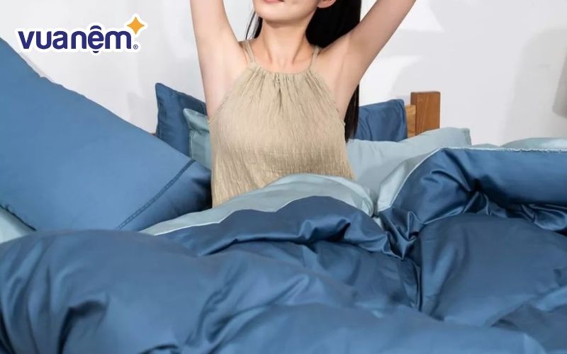 Vỏ chăn AMD The Essentials cotton satin