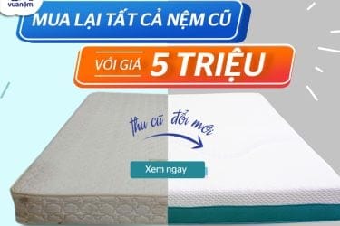 Mua Nệm Cũ Giá 5 triệu