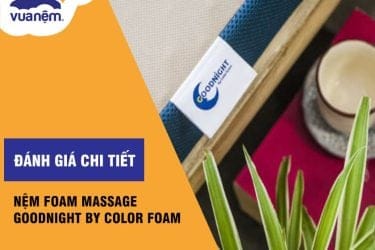 nệm foam massage nhật bản goodnight by color foam