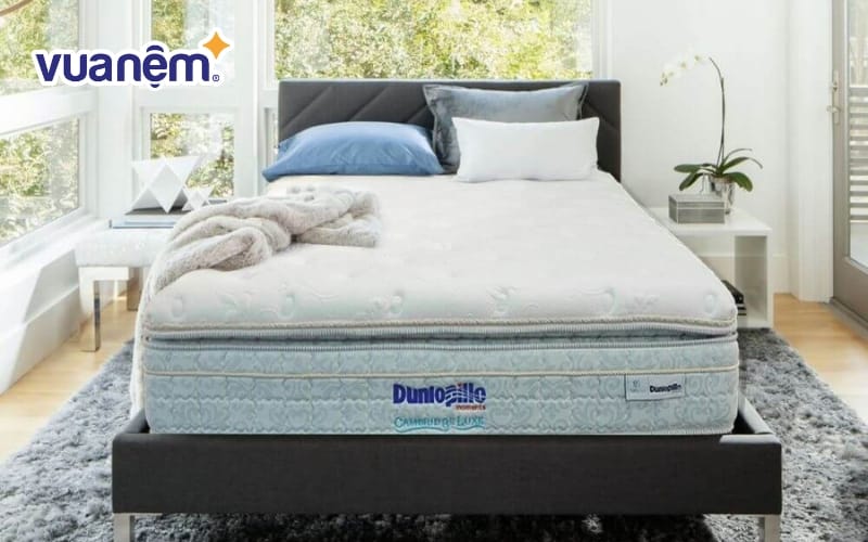 Đệm lò xo kháng khuẩn DUNLOPILLO CAMBRIDGE LUXE 