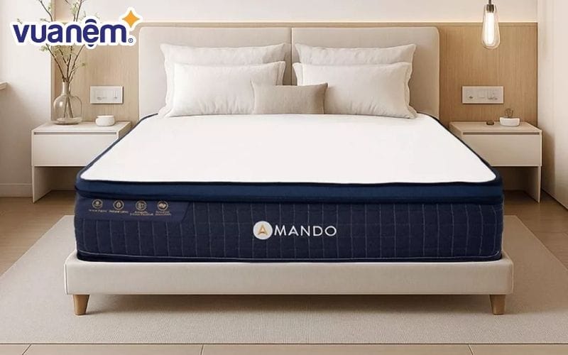 Đệm lò xo Amando Innovation