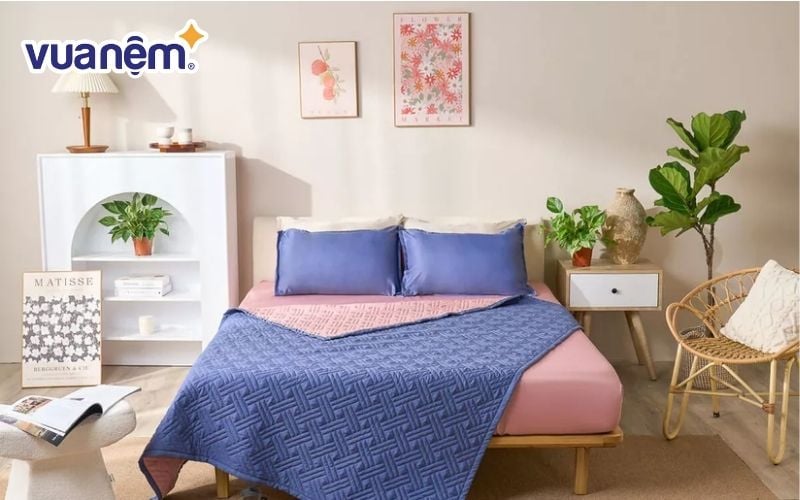Bộ ga giường 2mx2m2 bốn mùa Goodnight Mori