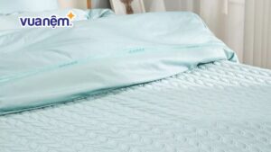 Drap giường chần bông là gì, lưu ý khi chọn mua