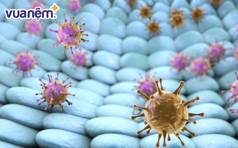 Chất liệu quả là yếu tố quyết định phần lớn khả năng kháng khuẩn của ga giường