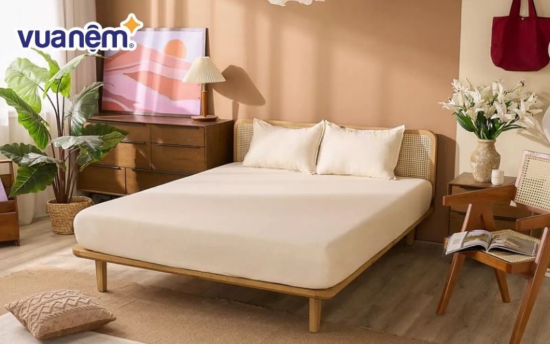 Những chiếc drap giường cotton cũng rất dễ bảo quản, không kén cách giặt giũ nên được nhiều gia đình tin dùng