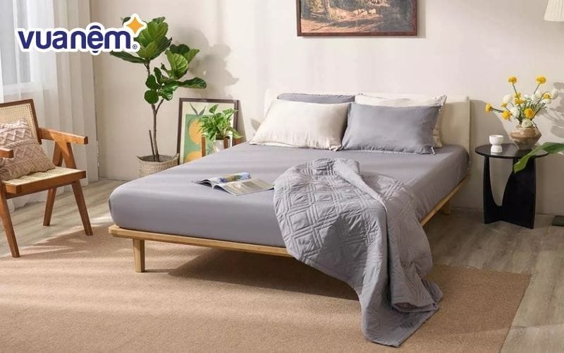 Bộ ga giường màu xám micro satin Amando Cozy