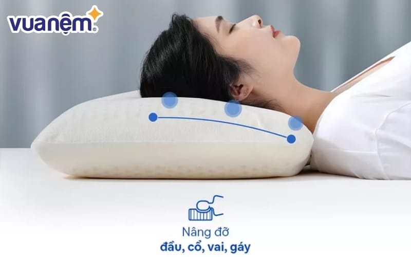 Gối cao su Gummi Cookie 100% thiên nhiên