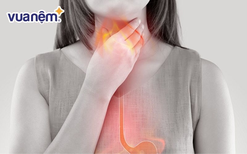 Bệnh lý trào ngược dạ dày là gì?