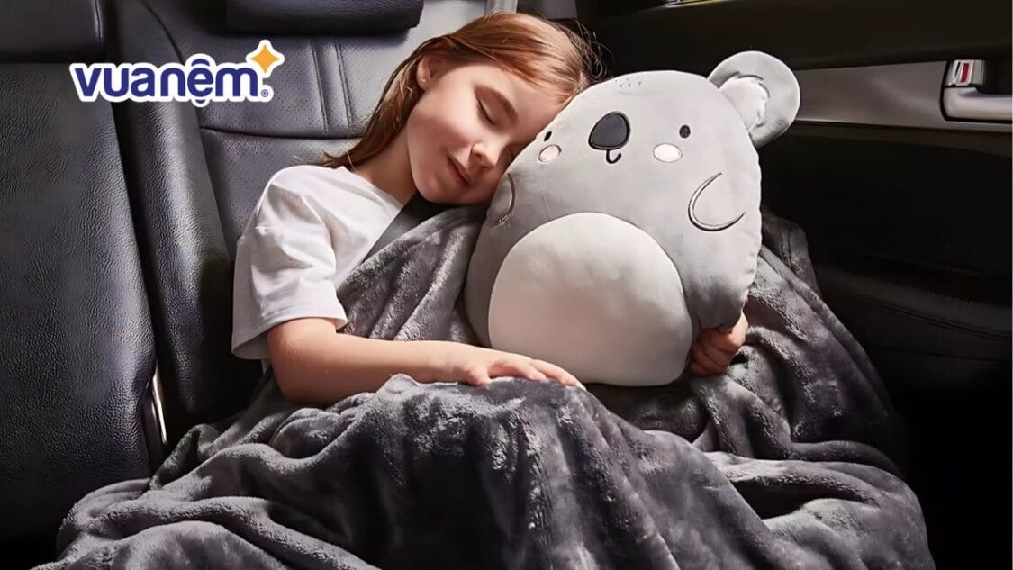 gối mền 2 trong 1 đẹp