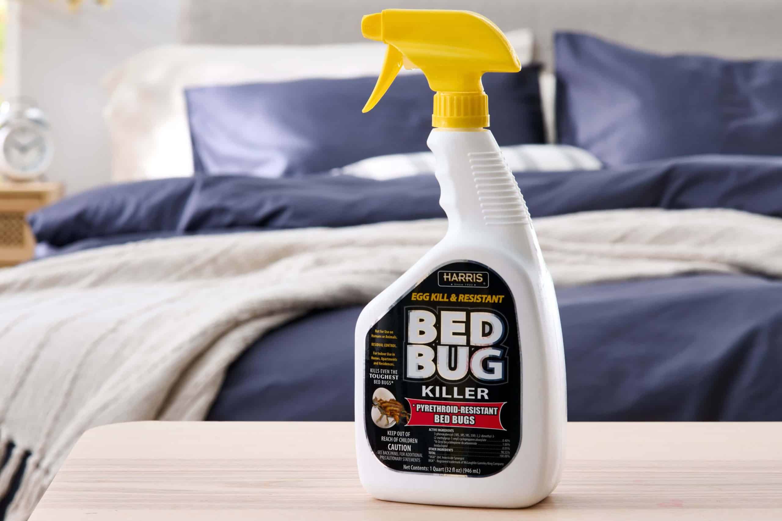 cách tiêu diệt rệp giường
