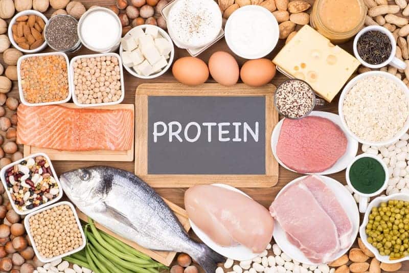 cung cấp thực phẩm giàu protein hạn chế tăng cân vù vù ngày tết
