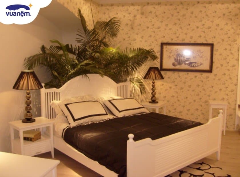 cây trong phòng ngủ