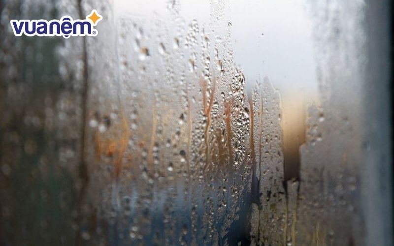 Độ ẩm cao và bụi bẩn dễ khiến chăn ga gối có mùi khó chịu