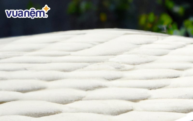 Nên chọn chỗ bóng râm, nắng nhẹ để phơi đệm